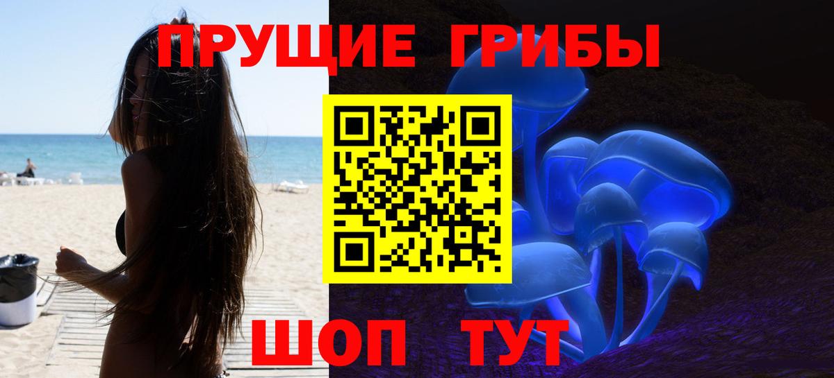 Тверь  Псилоцибиновые грибы мицелий  Вход с VPN 